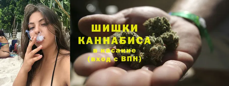 хочу   Сорочинск  Бошки марихуана THC 21% 